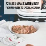 22 Quick Mince Recipes