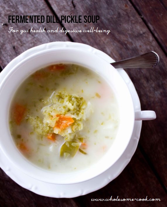 Fermented Dill pickle soup