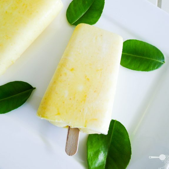 Mango and yoghurt ice blocks
