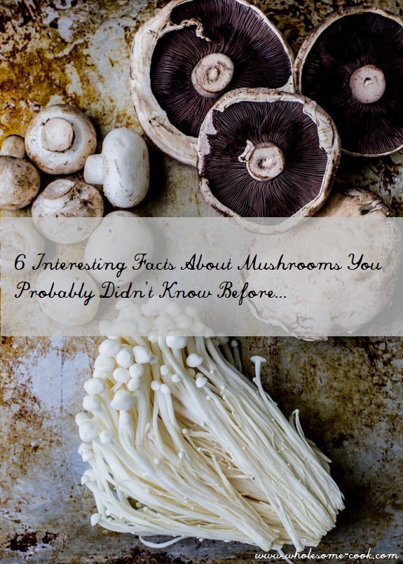 6 Interesting facts about mushrooms. 