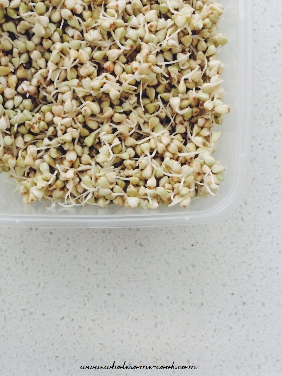 How to Make Sprouts at Home A Guide with Soaking Times